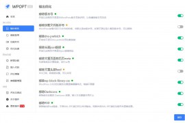WordPress优化插件，WPOPT v2.1.0